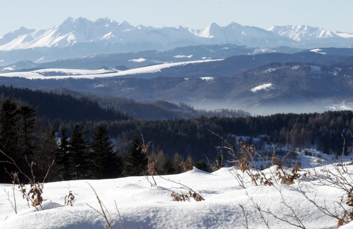 Ośnieżone wzniesienia i doliny, w tle majestatyczne pasmo górskie, na pierwszym planie drzewa i suche gałęzie wystające spod śniegu, rozległy widok podkreślony przez warstwy mgły i światło słoneczne.