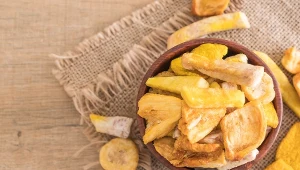 Suszony chlebowiec smakuje jak ananas lub banan