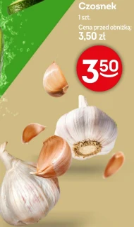 Czosnek