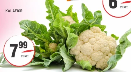 Цвітна капуста O...