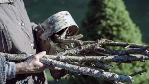 Sprawdź, zanim spalisz gałęzie w ogrodzie. Tak unikniesz mandatu