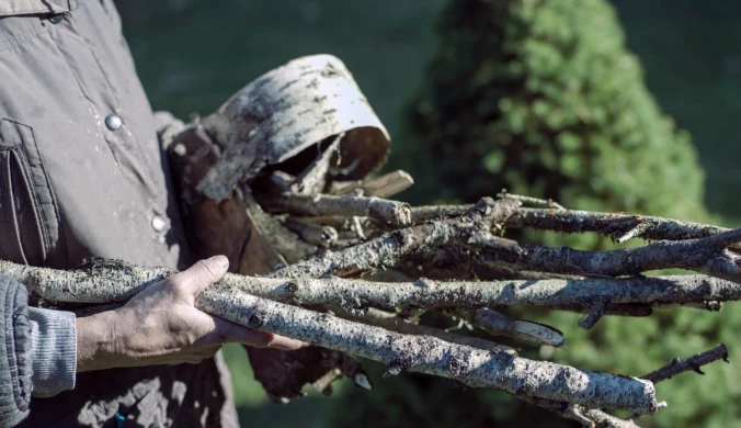 Czy palenie gałęzi w ogrodzie zawsze jest zabronione?