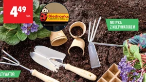Od jutra kupisz w Biedronce wszystko na ogród. Rusza wielka oferta ogrodowa