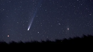 "Kometa wielkanocna" może rozświetlić niebo na początku kwietnia tego roku