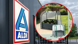 W Aldi rusza oferta „Zadbany ogród”. Tanie narzędzia na początek sezonu