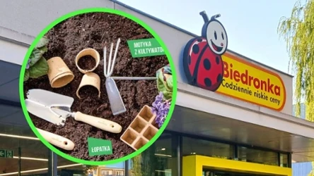 Tanie narzędzia do ogrodu w Biedronce. Przygotuj ogród na wiosnę