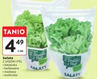 Масляний салат Z Sadów i Pól