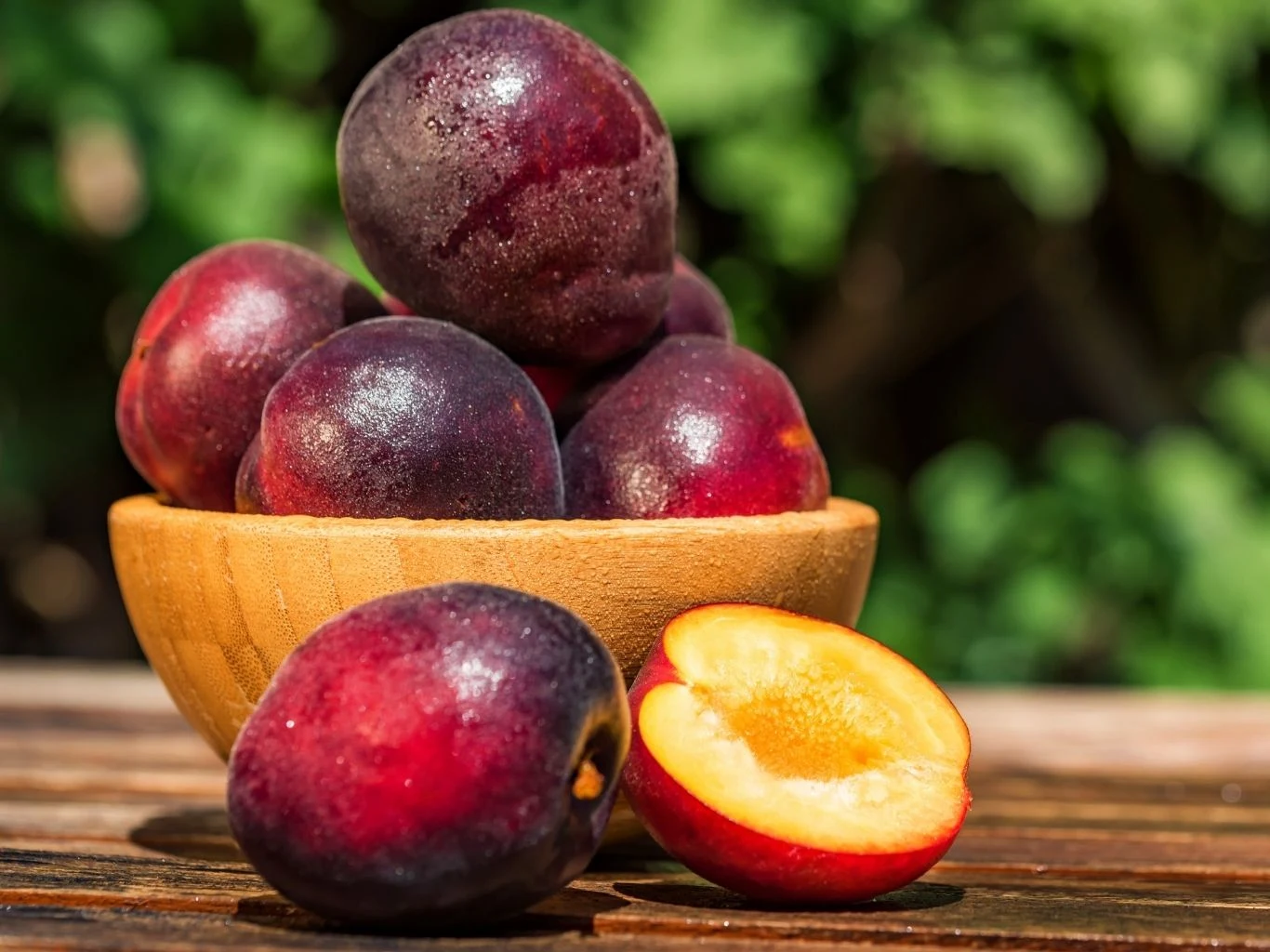 Miska wypełniona dojrzałymi owocami śliwomoreli. 