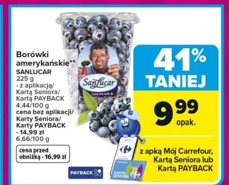 Чорниця Sancular