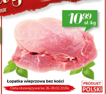 Безкісткова лопатка Data