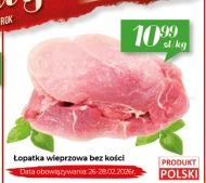 Безкісткова лопатка Data