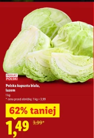 Kapusta biała Polski