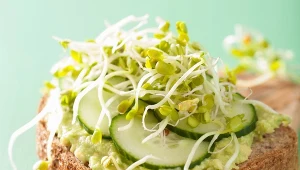 Aby wyhodować kiełki, potrzebujesz słoika i gazy. Nie każdy wie