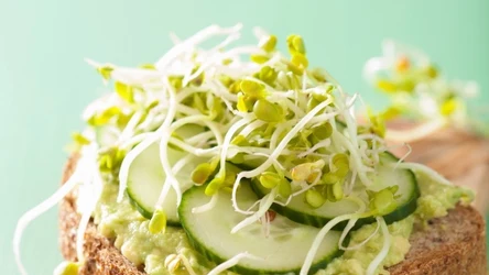 Kiełki łatwo wyhodujesz w domu