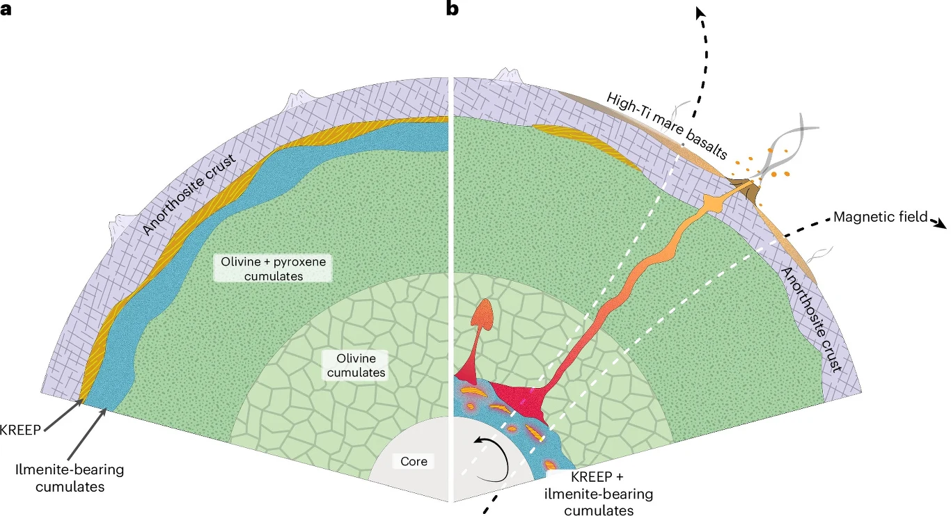 Okresy silnego magnetyzmu Księżyca były epizodyczne i krótkotrwałe. Wiązały się z jego procesami wulkanicznymi Schematyczny przekrój planety lub księżyca pokazujący strukturę wewnętrzną, warstwy skorupy oraz przepływ skał magmowych na powierzchni. Zaznaczone są różne rodzaje kumulatów, jądro, skorupa anortozytowa, a także obecność pola magnetycznego.