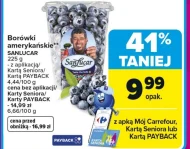 Borówki amerykańskie San Lucar