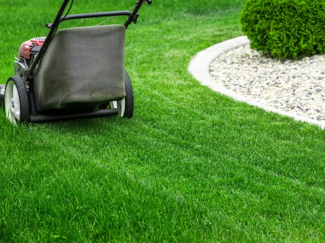 Zdrowy trawnik wymaga nie tylko koszenia, ale też odpowiedniego nawożenia Kosiarka poruszająca się po zadbanym, zielonym trawniku.
