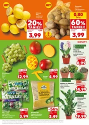 Mocny start - Kaufland