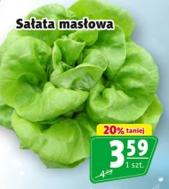 Sałata masłowa S!