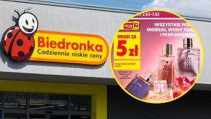 Biedronka: drugi perfum za 5 zł. Nowa akcja z kartą