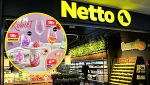 Te urocze kubki pojawiły się w Netto. Ceny od 4,99 zł