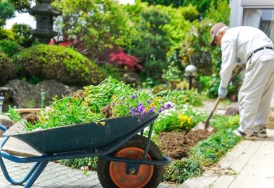Wiosna w ogrodzie zaczyna się od rozsad — Netto to wie
