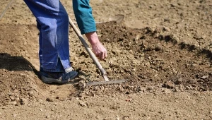Najlepszy start dla warzyw. Rozrzuć i dobrze wymieszaj z ziemią