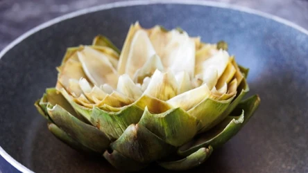 Czym różni się kard od karczocha?