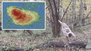 Odkryli 244 zabytki z epoki Piastów. Archeolodzy mówią o skarbach