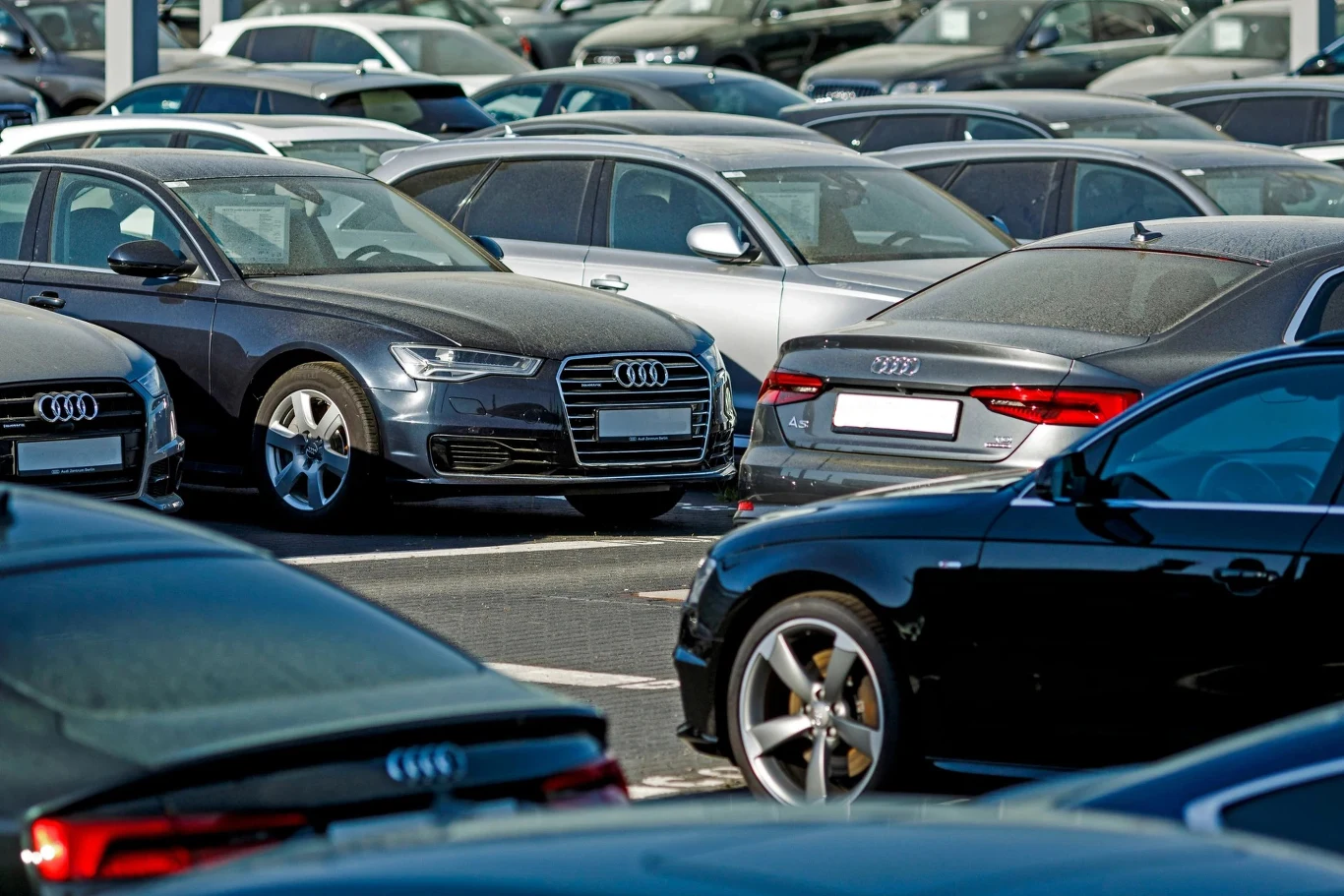 W sieci można znaleźć ogłoszenia sprzedaży używanych aut niemieckich producentów, które służą tylko wyciągnięciu pieniędzy od nieświadomych kupujących Duża liczba samochodów marki Audi ustawionych na parkingu, większość pojazdów w ciemnych kolorach, rozmieszczone blisko siebie, widoczne reflektory i charakterystyczne grille.