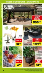 Ogród. Twoje miejsce na ziemi - Carrefour