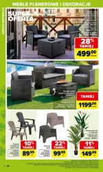 Ogród. Twoje miejsce na ziemi - Carrefour