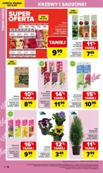 Ogród. Twoje miejsce na ziemi - Carrefour