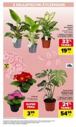 Podaruj uśmiech i kwiaty - Carrefour Market