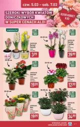 Dzien Kobiet w uper cenach! - Aldi