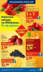 Rewolucja cenowa! - Lidl