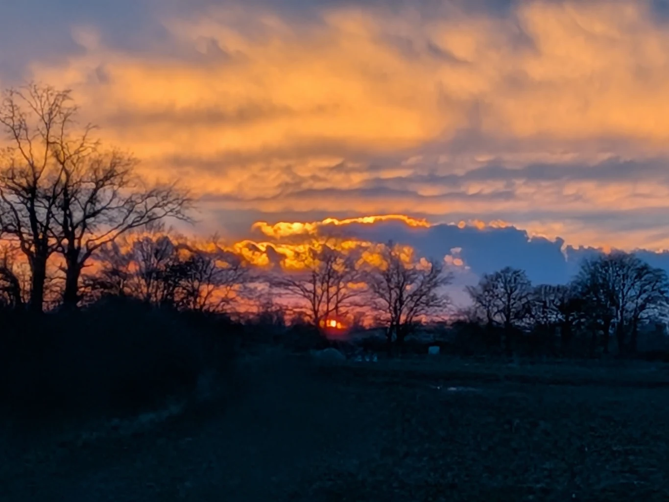 Zachód słońca nad polami, sylwetki drzew bez liści na tle pomarańczowo-niebieskiego nieba pokrytego chmurami, złote światło przebijające się przez gałęzie.