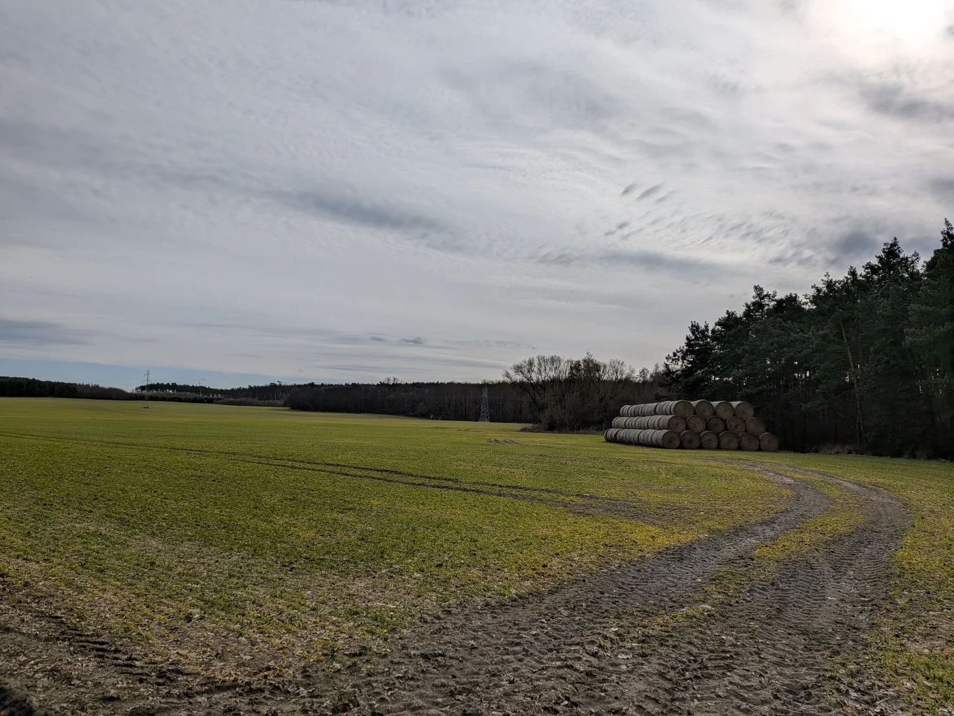 Zielone pole uprawne z widocznymi śladami opon, w tle stos ułożonych beli słomy obok linii drzew oraz pochmurne niebo.