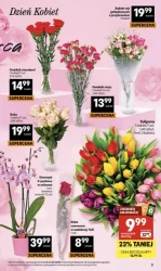 Lady zza lady - Delikatesy Centrum