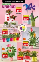 Акції з понеділка - Biedronka