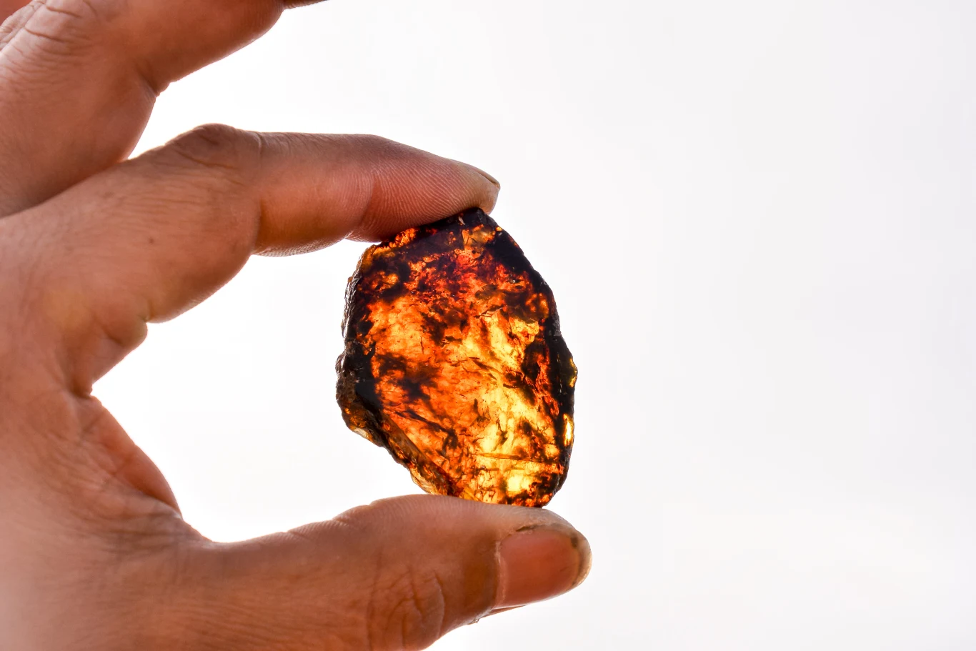 Bursztyny okazują się kopalnią wiedzy o dawnym życiu Dłoń trzymająca bursztyn o intensywnie pomarańczowo-brązowej barwie, światło prześwituje przez kamień podkreślając jego strukturę.