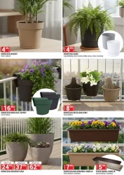 Urządź swój ogród - Merkury Market