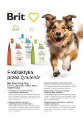 Czas na tanie zakupy – Aquael Zoo