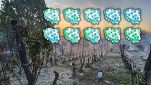 Nocne przymrozki będą nam towarzyszyć przez większość czasu w pierwszej połowie marca - prognozuje IMGW