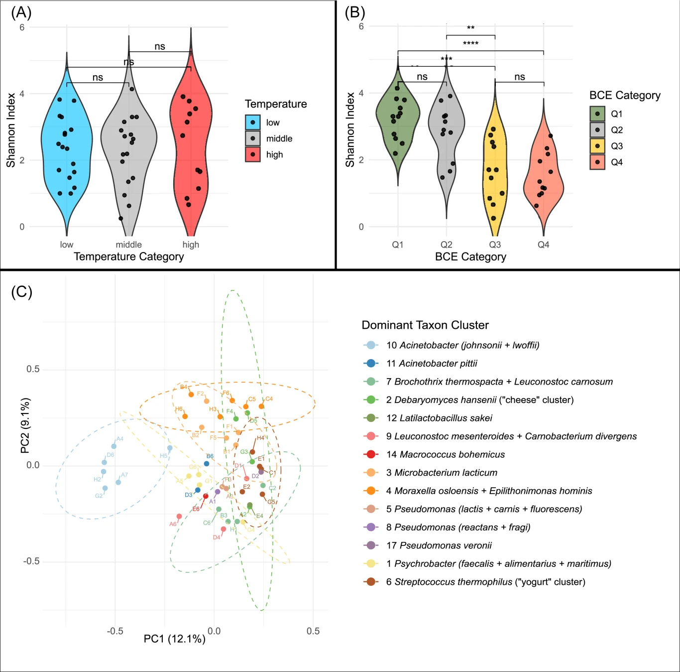 Temperatura w lodówce jest ważna, ale bez częstego mycia i tak staje się ona siedliskiem bakterii Trzy wykresy: dwa górne (A i B) to wykresy violin plot ilustrujące różnorodność indeksu Shannona dla różnych kategorii temperatury i kategorii BCE, natomiast dolny wykres (C) to diagram rozproszenia punktów (PC1 vs PC2), pogrupowany kolorystycznie wedł...