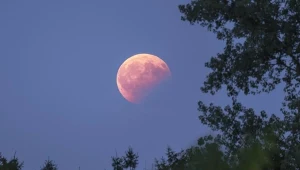 Wyjątkowe zjawisko na nocnym niebie. Czy Krwawy Księżyc będzie widoczny?