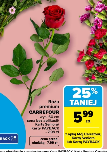 Роза Carrefour
