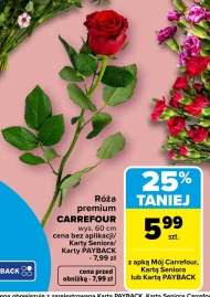 Роза Carrefour