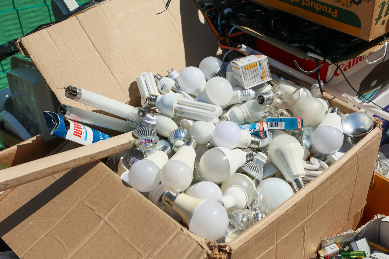 Duży karton wypełniony zużytymi żarówkami różnych typów, w tym żarówki tradycyjne, świetlówki kompaktowe oraz żarówki LED, a także opakowania po niektórych żarówkach, wszystko ułożone chaotycznie w otwartym pudełku