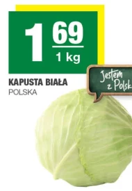 Kapusta biała